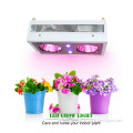 /msite/products/detail/productid/57024704/id/666378.html